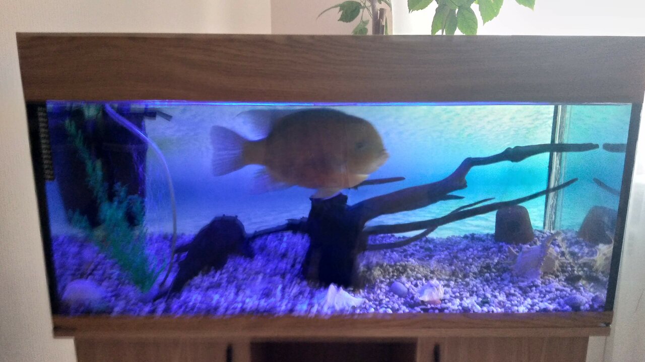 Гостиница Атлантида Кисловодск-124