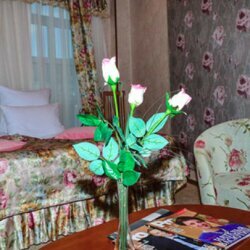 Гостиница Атлантида Кисловодск-23