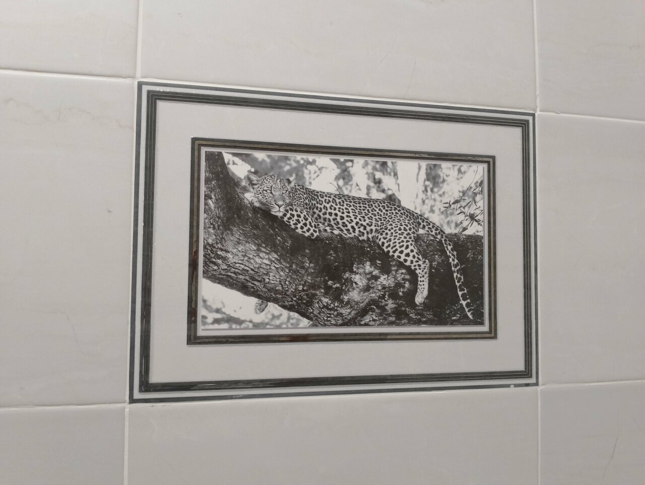 Гостиница Атлантида Кисловодск-143