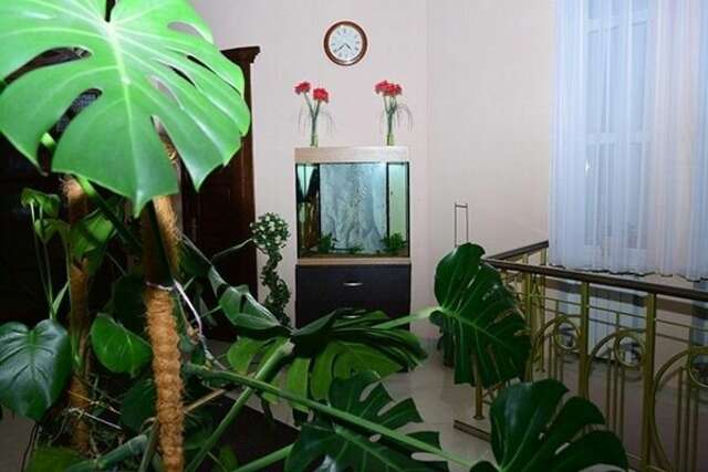 Гостиница Атлантида Кисловодск-5