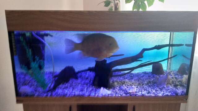 Гостиница Атлантида Кисловодск-123