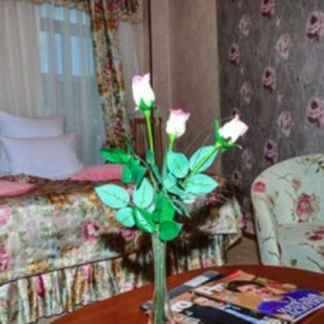 Гостиница Атлантида Кисловодск-22