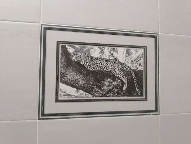 Гостиница Атлантида Кисловодск-142